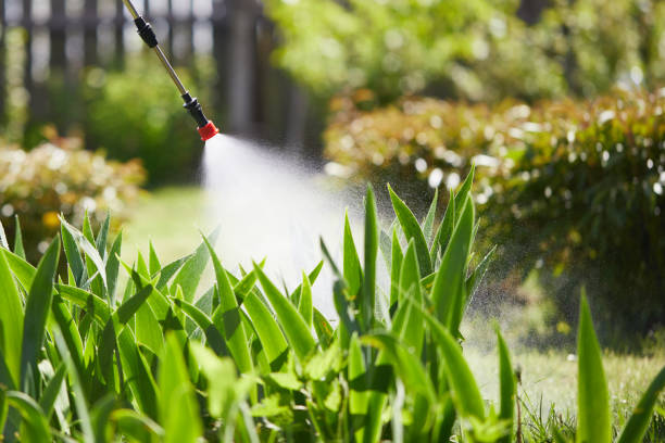 Void Injection for Cockroach Colonies in Laurel Springs