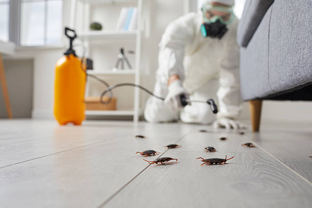 Commercial Kitchen Cockroach Control in Laurel Springs